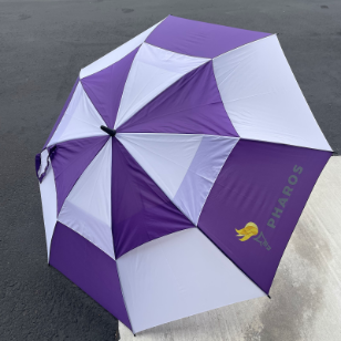 Portfolio item 30